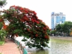 <b>Vé máy bay đi Hải Phòng giá rẻ</b>